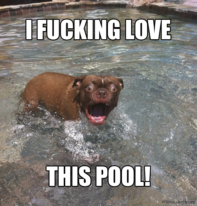 � ������ ���� ��������� �������!