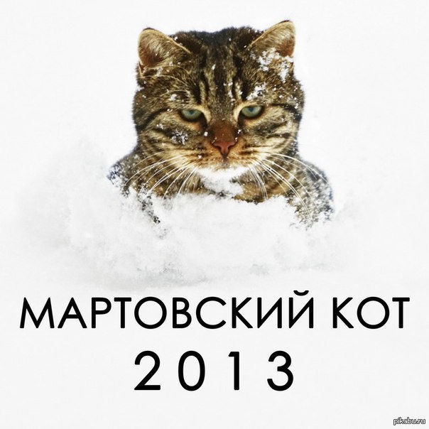 Год 2013 кот. Мартовский кот. Мартовский кот надпись. Март коты. Мартовские коты с надписями.