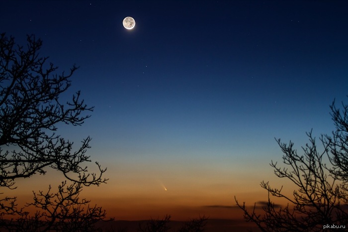  PanStarss.     (  :-)