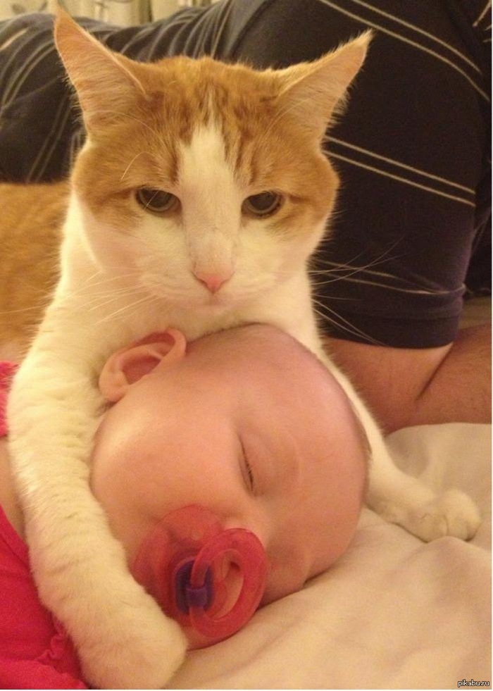 Я позабочусь о нем. Можете идти.