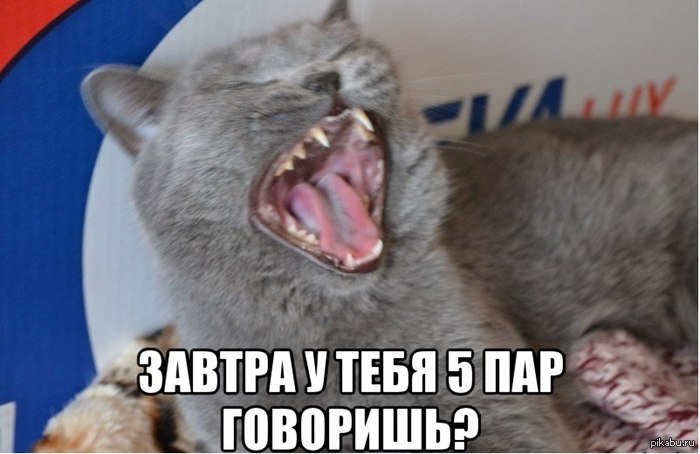 ��-��!!! � � ������ ����!