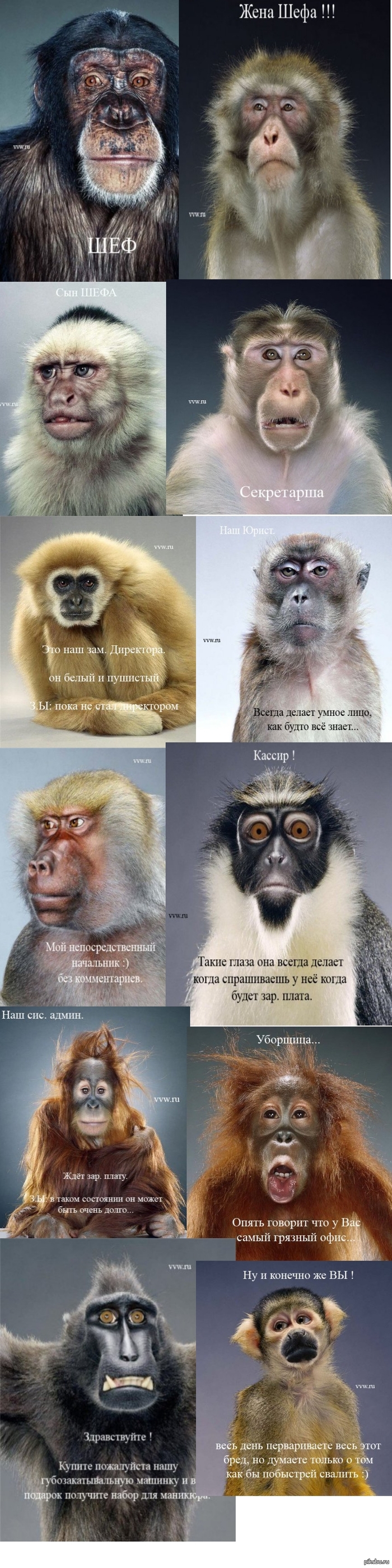 ��� ���� � �����, ����� ������ ������