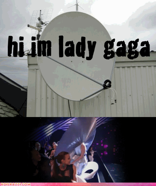 Lady Gaga  