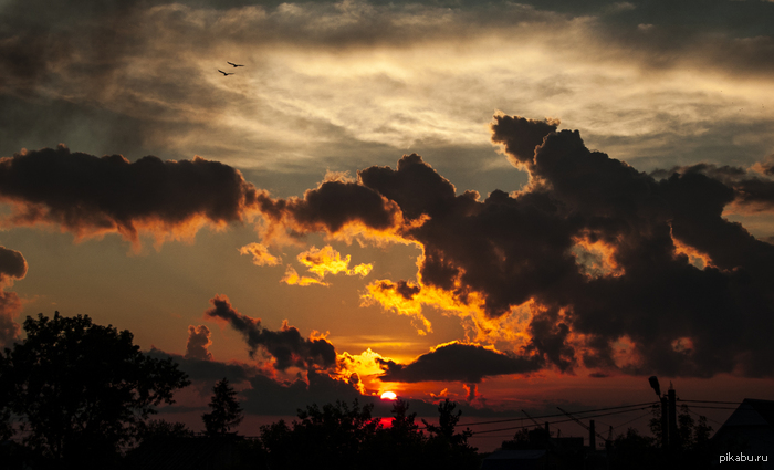 ���� �� ��������.