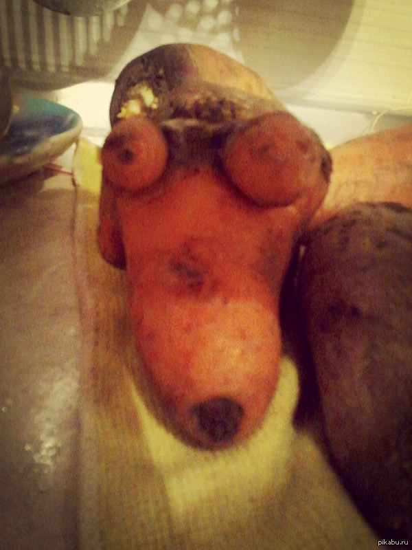 ������� ����� ������� ��