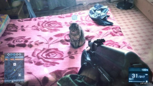 Моя кошка :3 Всем БФ3 :D