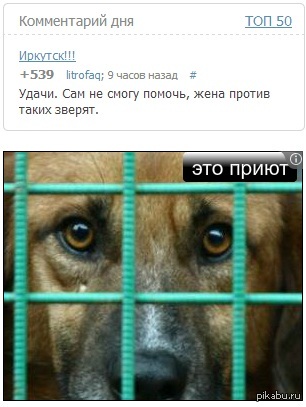 �����������?