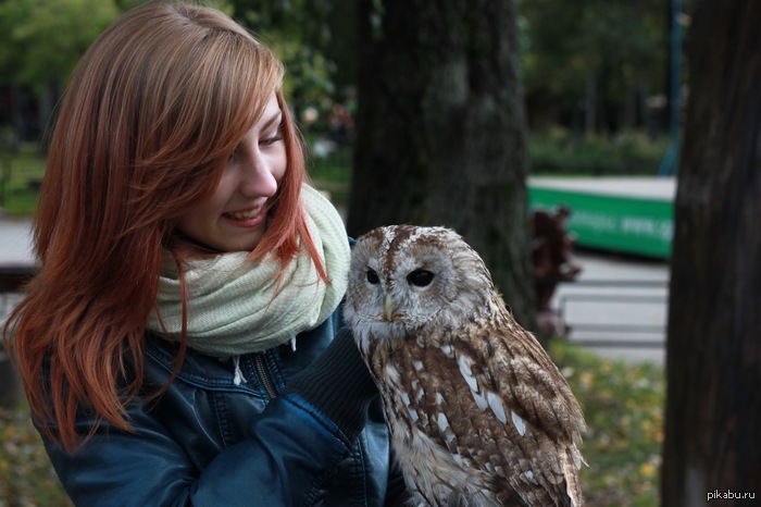 Рыжая няша и сова