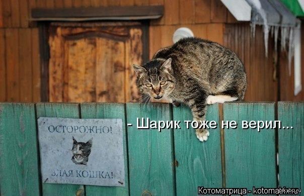 �� �� �����