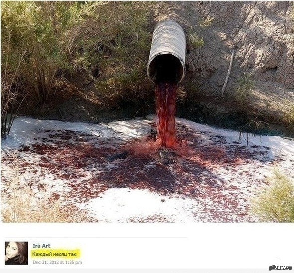 �������� � ��