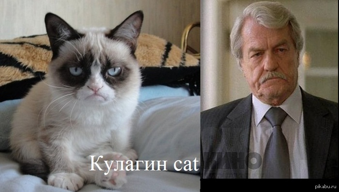 Сходство несомненно