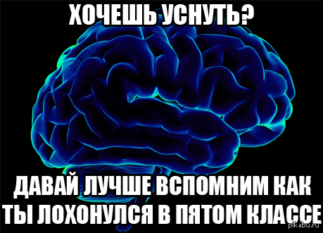 Мозги спал. Бессонница мозг. Шутки про мозг ночью. Мозг ночью приколы. Мозг не дает уснуть.