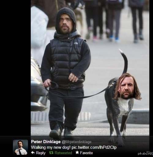 On a walk) - Game of Thrones, Tyrion Lannister, Dog, Walk, Sandor Clegane