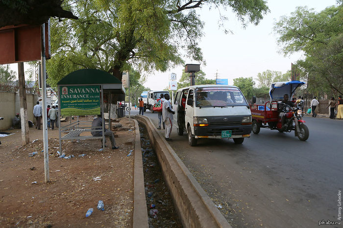 Защита от бабушек в Африке