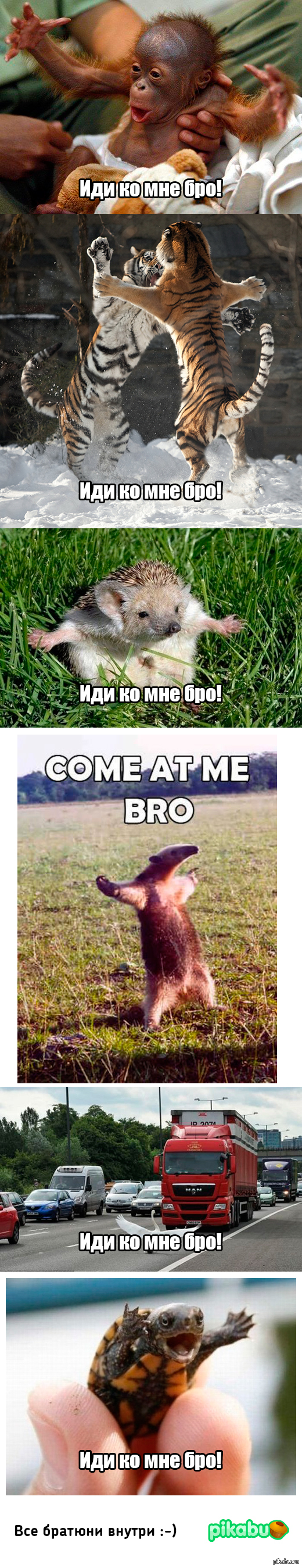 Всем братюнь!