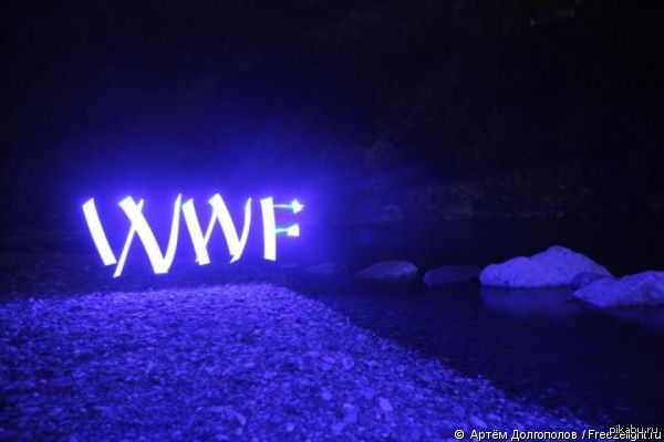    !  http://www.wwf.ru/eh2013/vote 23  2013 ,  ,  20:30 (  )           (WWF).