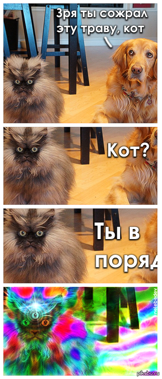 ��� �� ������ ��� �����, ���