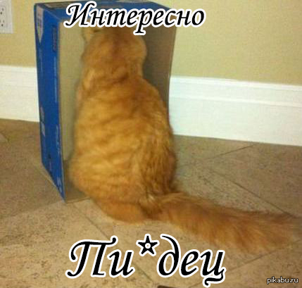 Интересно .... | Пикабу