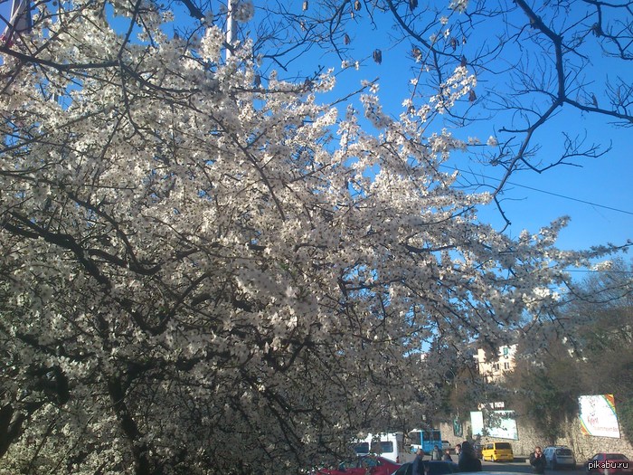 ���� �����, ������!!