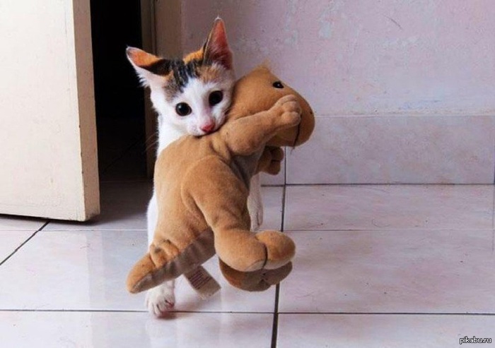 Включаем мимиметры )