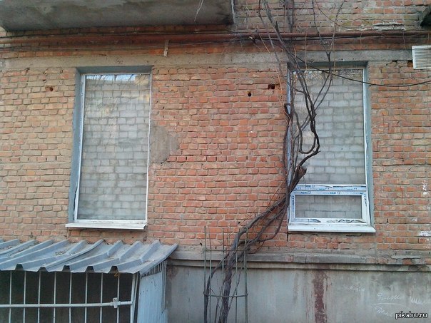 Суровые Николаевские занавески | Пикабу