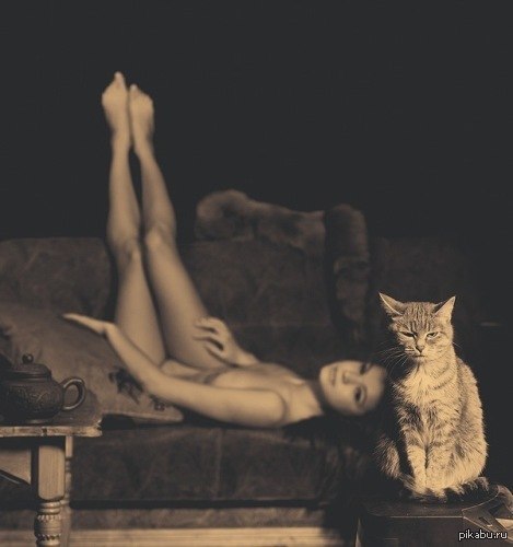 Looking at night_) - NSFW, Interesting, The photo, Girls, cat