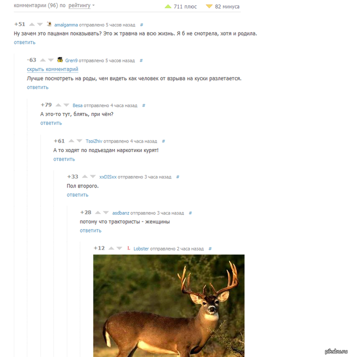 ��������)