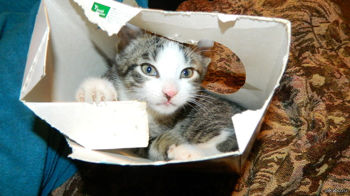 ����� ����� ��� ������ ����.��� ������ ����� ,������ �� ������...  ������ ������