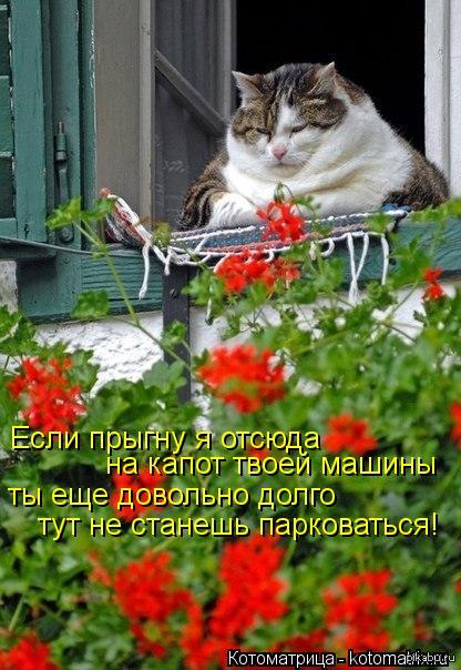 ��������� npo��������