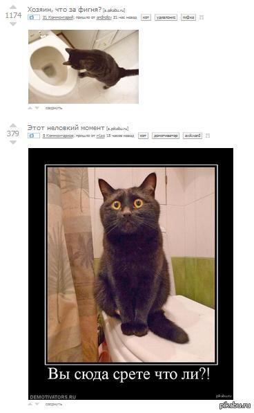 ��������� ����������