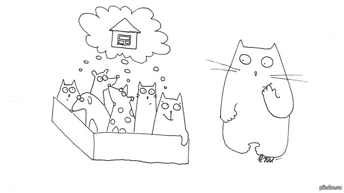  ,  -   , 23   -   &quot;&quot;.  !