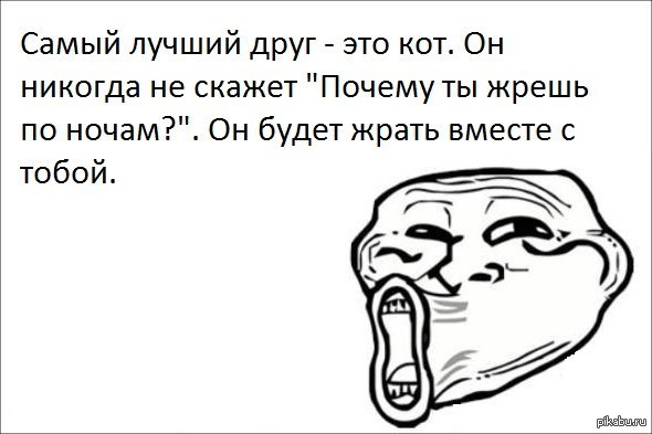 Почему говорят не зарегистрирован в сети. Мемчики. Прикольные мемчики. Мемчики про друзей. Самый лучший друг это кот.