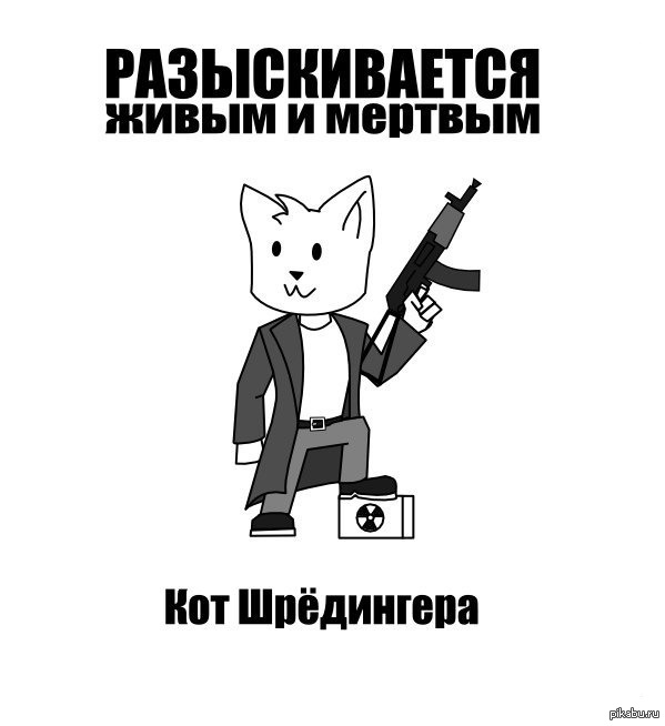 Выжил Ли Кот Шредингера