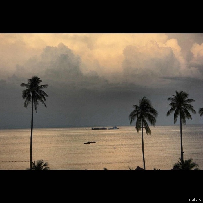 В тему безысходности