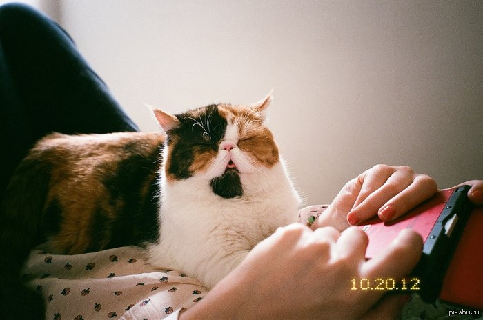 ������� :3