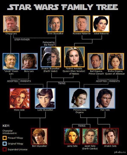 Star Wars Family Tree
