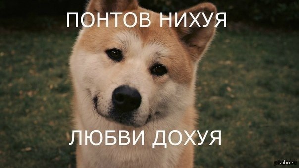  :)  ,    ;) P.S: ,  :(
