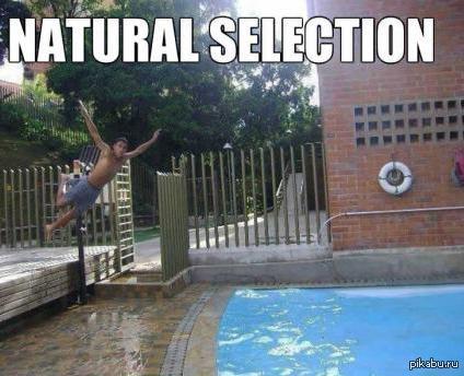 Естественный отбор