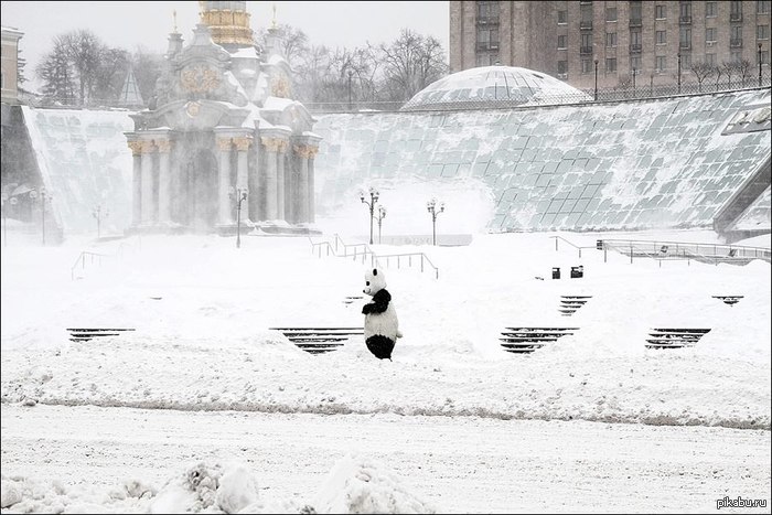 �������� ������ �������������. 23.03.13