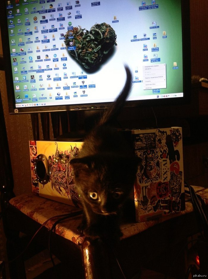 ��� ��������