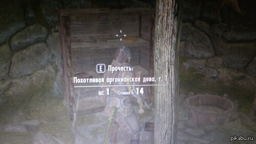 Играл в Skyrim, а тут...