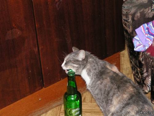 ��� ����� :)