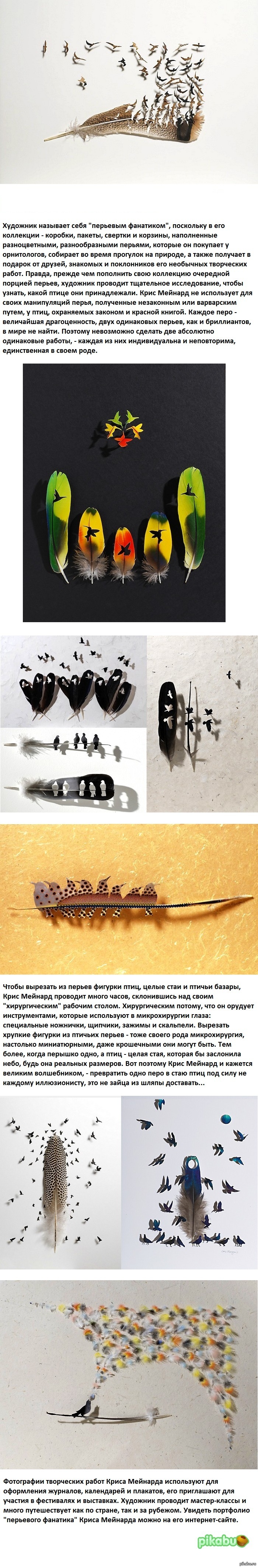    .      (Chris Maynard)