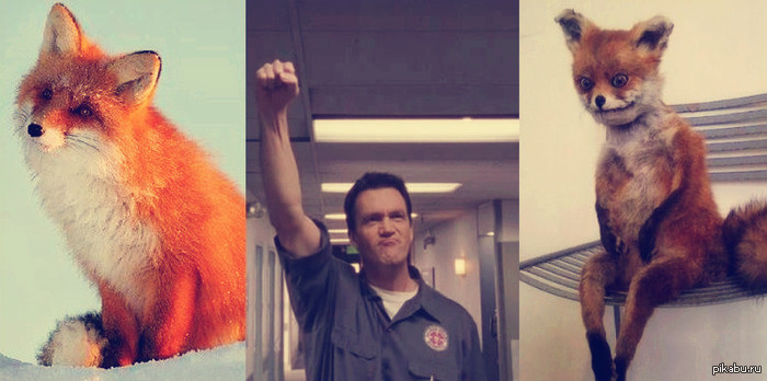 ������ �������