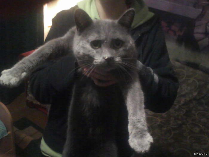 Местный наркоман | Пикабу