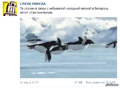 What? | Пикабу