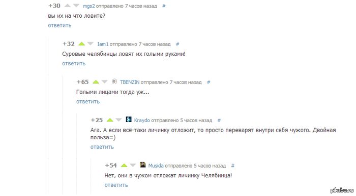    ) http://pikabu.ru/story/kak_prigotovit_lichinku_quotchuzhogoquot_1116993