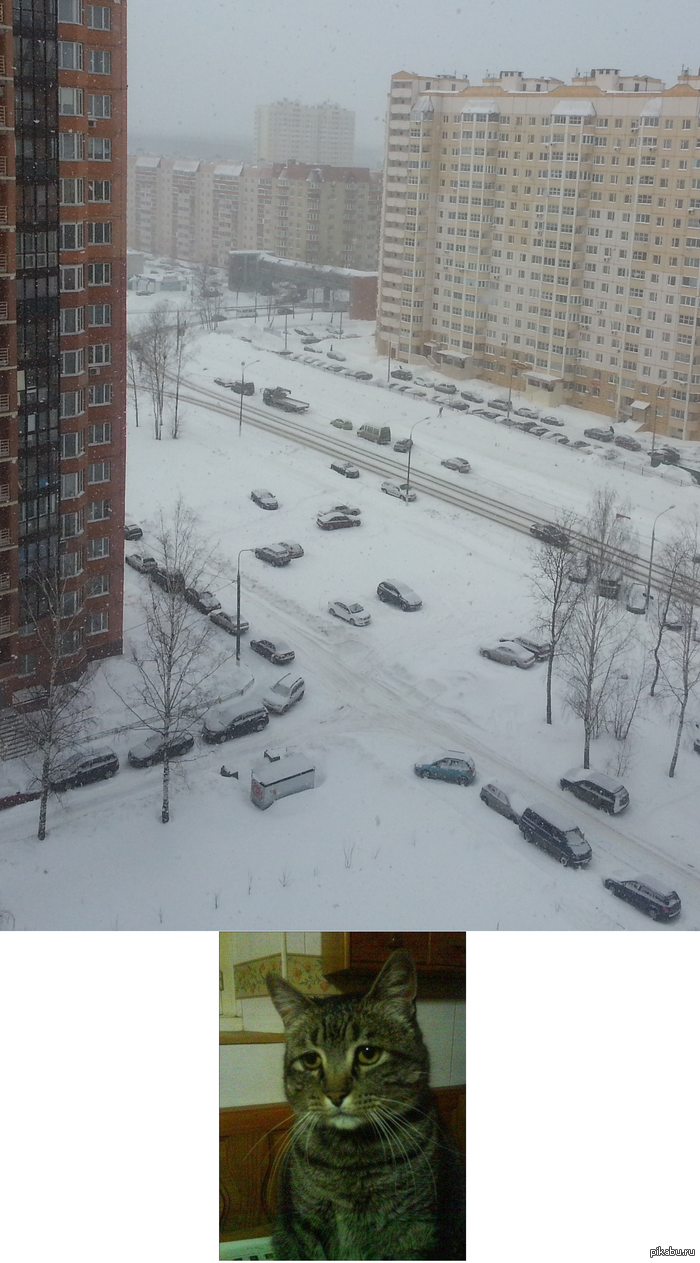 ������� ������.