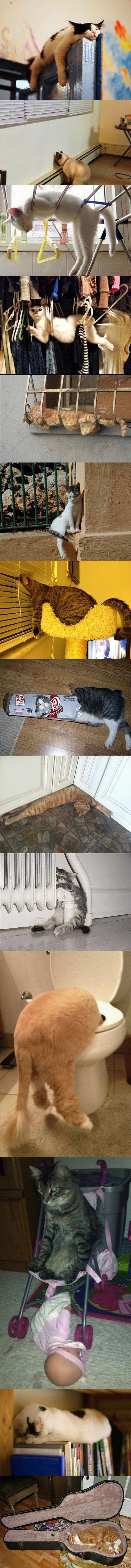 �� ����� �����! ��� � ��� ������!