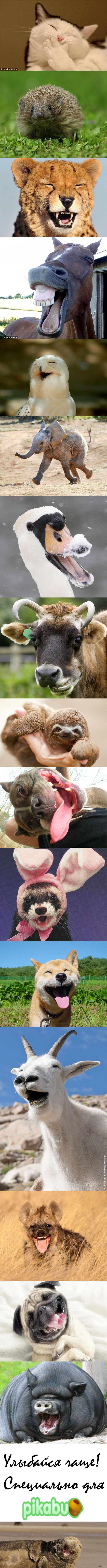 ��, �� �����!